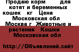 Продаю корм monge для котят и беременных кошек 10кг › Цена ­ 2 700 - Московская обл., Москва г. Животные и растения » Кошки   . Московская обл.